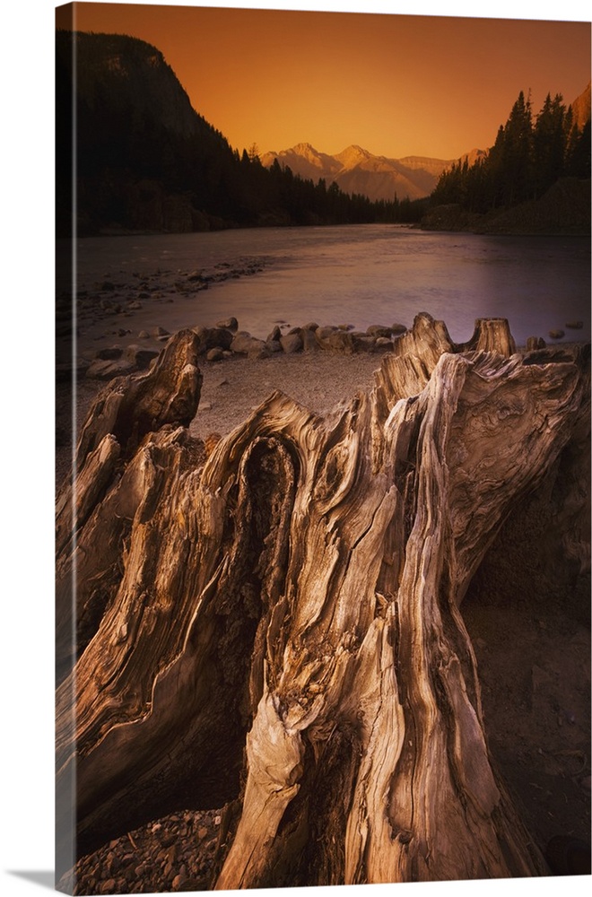 Great BIG Canvas | Banff, Alberta, Canada, Driftwood And A Mountain River  At Sunset Canvas Wall Art - 16x24